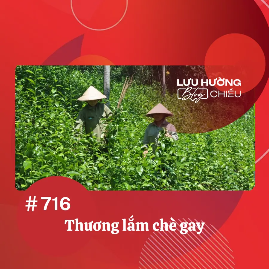 Thương lắm chè gay